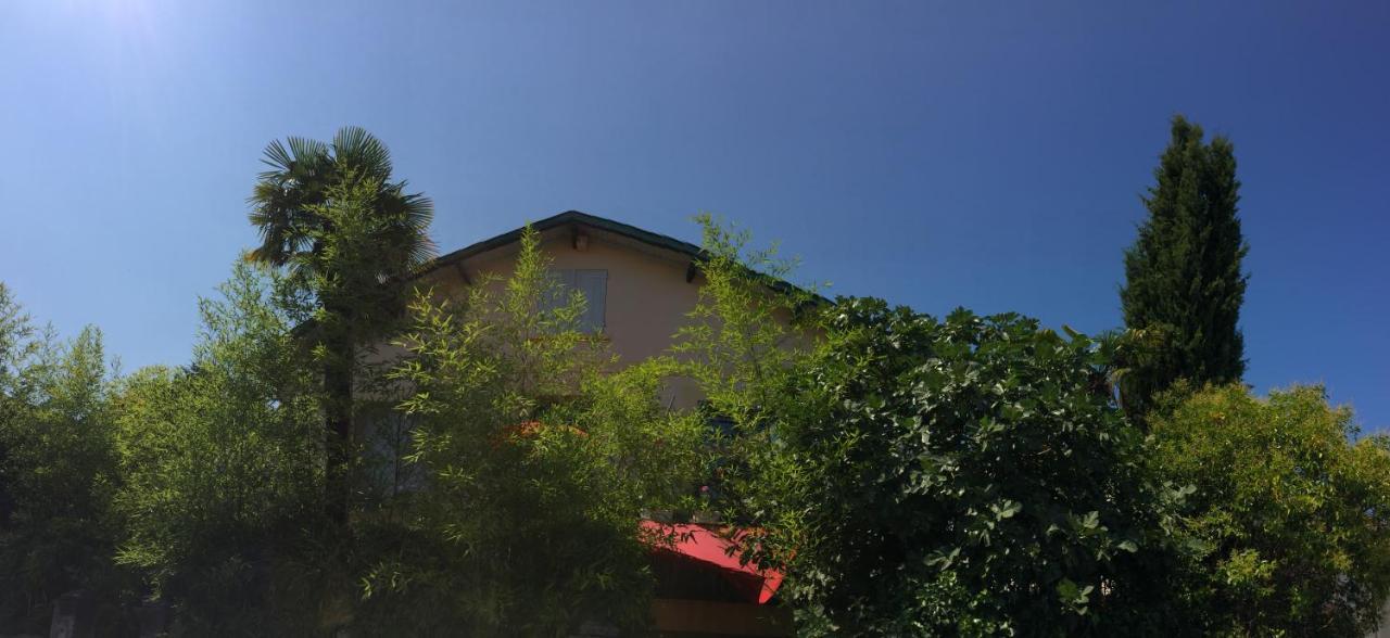 La Bulle Dans Le Palmier Hotell Toulouse Exteriör bild